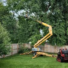 Best Aeration Services  in Hahira, GA